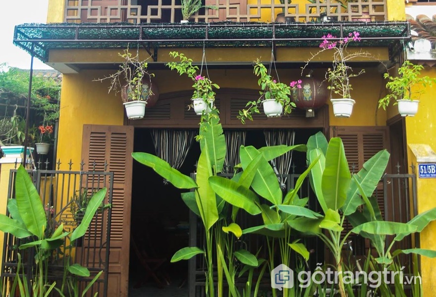 Homestay Hội An view đẹp Old Yellow House (ảnh internet)