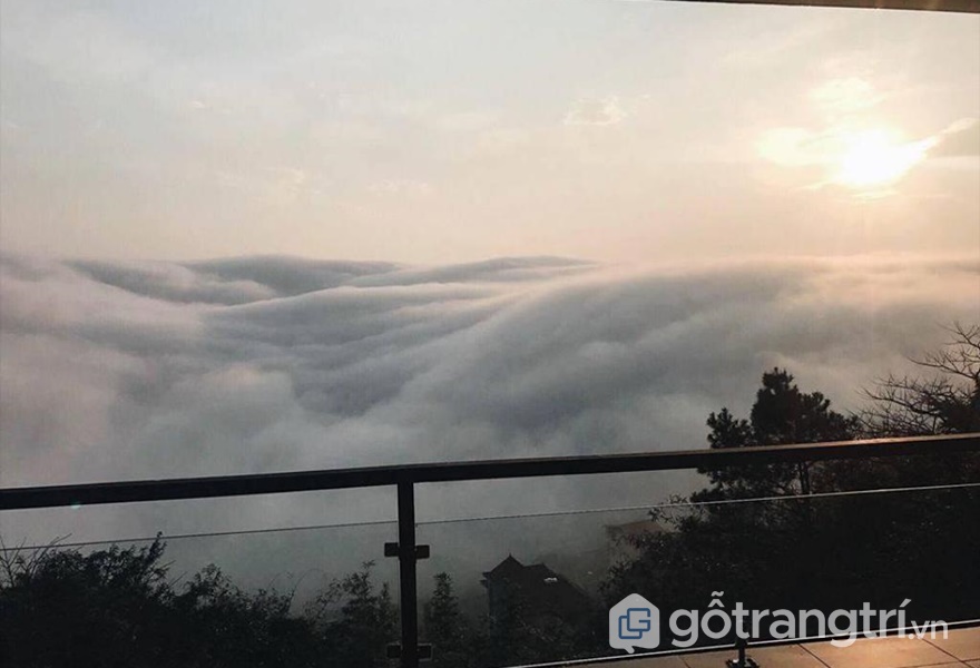 Săn mây tại Le Bleu Homestay - Tam Đảo (ảnh internet)