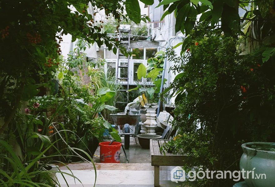 Review homestay Hội An Maison De Tau - Ốc đảo xanh nơi phố Hội (ảnh internet)