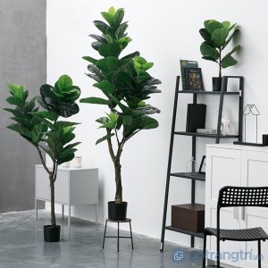 Cay-bang-Sing-trang-tri-gia-dinh-loai-90-cm-GHS-6583-2 (7)