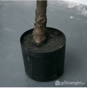 Cay-bang-Sing-trang-tri-gia-dinh-loai-90-cm-GHS-6583-2 (8)