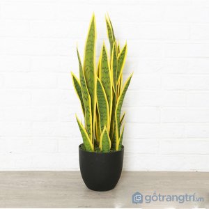 Cay-luoi-ho-trang-tri-gia-dinh-dep-loai-100-cm-GHS-6589-2 (10)