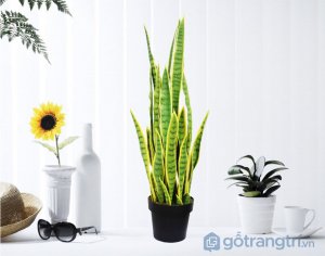 Cay-luoi-ho-trang-tri-gia-dinh-dep-loai-100-cm-GHS-6589-2 (6)