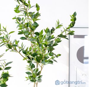 Cay-olive-gia-trang-tri-loai-120-cm-GHS-6586-1 (13)