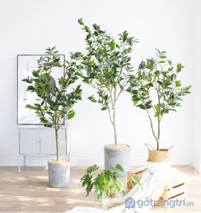 Cay-olive-gia-trang-tri-loai-120-cm-GHS-6586-1 (17)