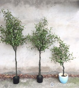 Cay-olive-gia-trang-tri-loai-120-cm-GHS-6586-1 (19)
