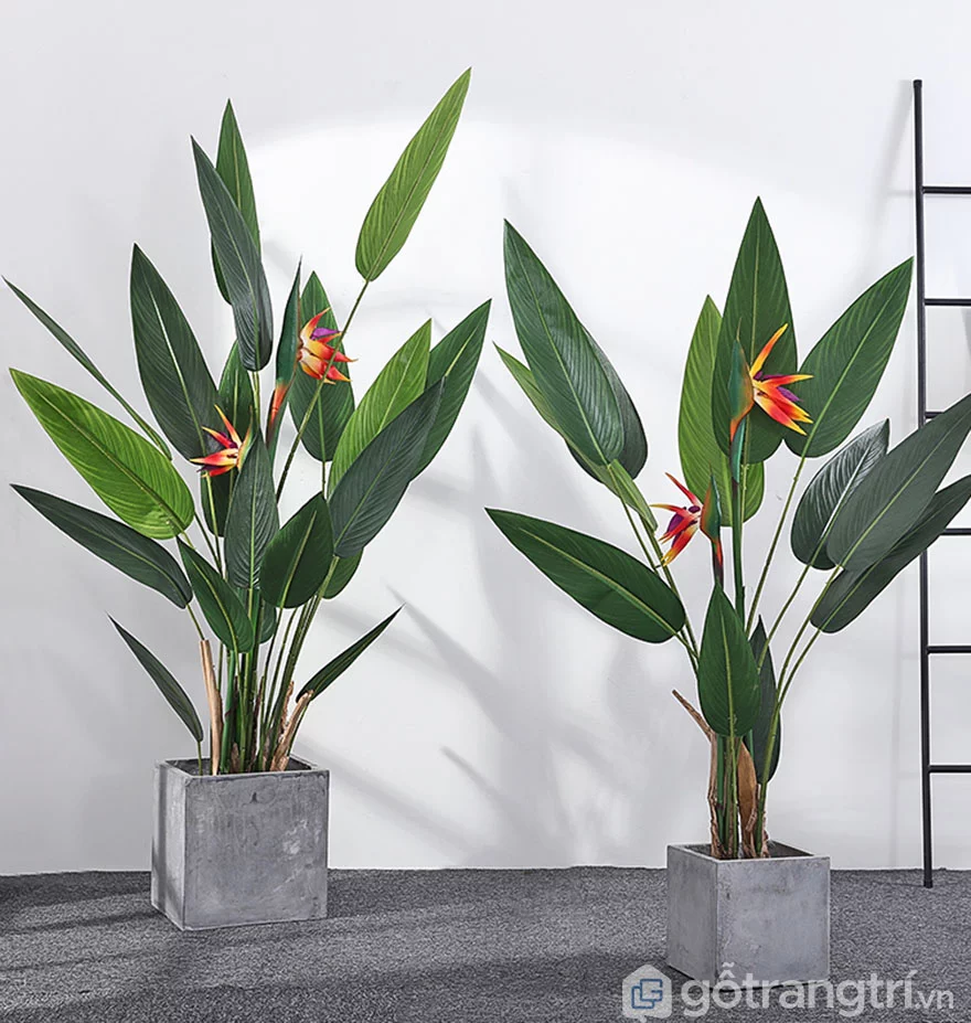 Cay-thien-dieu-gia-trang-tri-phong-khach-loai-180-cm-GHS-6588-3