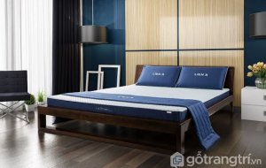 Nem-cao-su-thien-nhien-La-Dome-Blue (1)