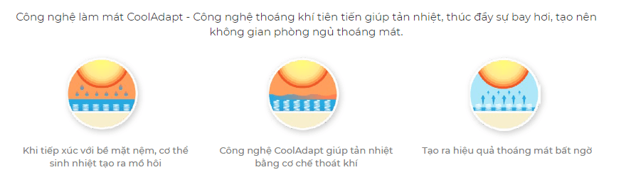 NEM-CAO-SU-THIEN-NHIEN-LA-DOME-BLUE