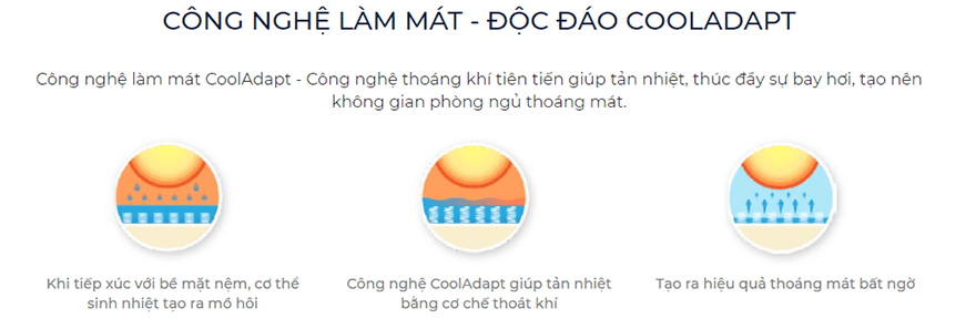 Nem-lo-xo-Lien-A-Cocoon-2.0-Firm