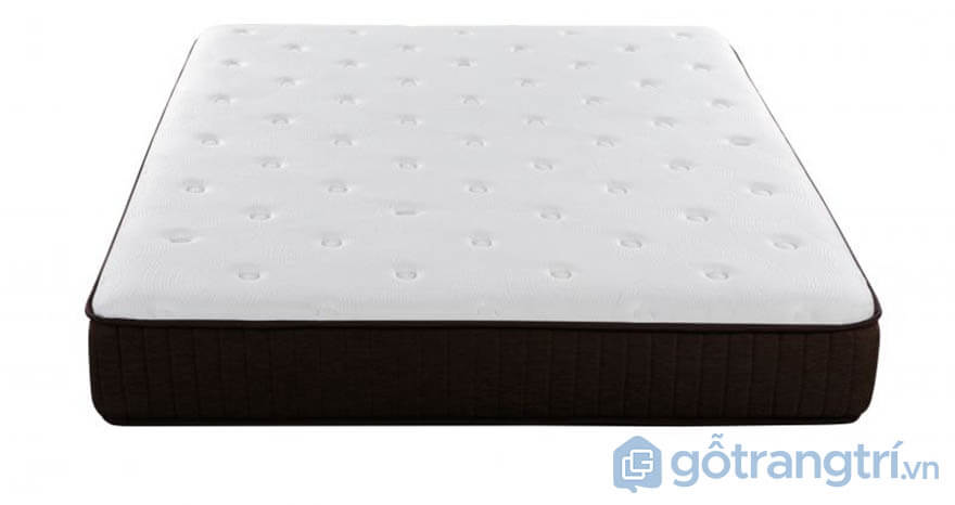 Nem-lo-xo-Lien-A-Cocoon-2.0-Firm