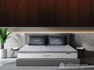 Nem-lo-xo-lien-a-Cassaro-Plush (1)