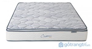 Nem-lo-xo-lien-a-Cassaro-Plush (4)