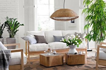 Cách trang trí cây cảnh trong nhà đẹp và hợp phong thủy