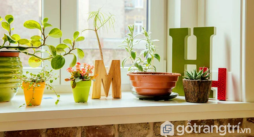 “BỎ TÚI” 1001 BỐ TRÍ CÂY XANH TRONG NHÀ ĐƠN GIẢN MÀ ĐẸP KHÔNG TƯỞNG 9 trang trí cây cảnh trong nhà ấn tượng