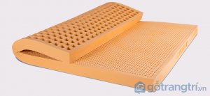Nem-cao-su-thien-nhien-Standard (1)