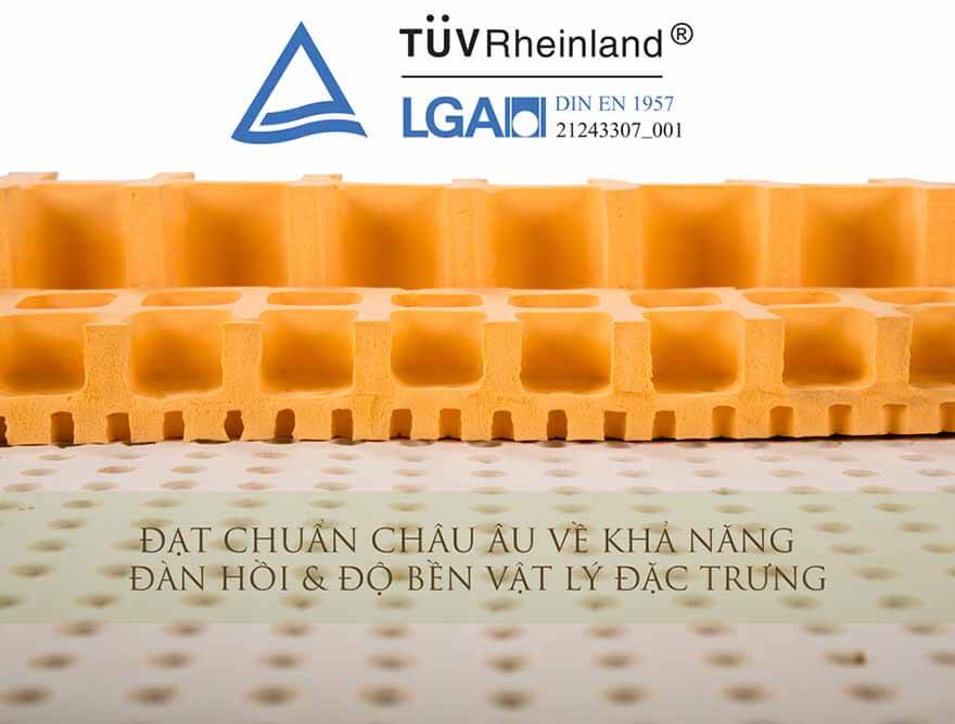 Nem-cao-su-thien-nhien-Standard