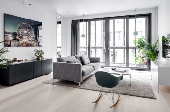 Tổng hợp những cây trang trí trong nhà đẹp hết ý