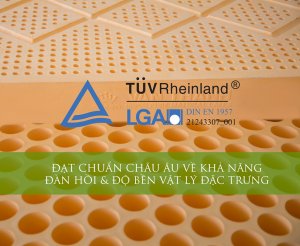 Nem-cao-su-thien-nhien-Segovia (13)
