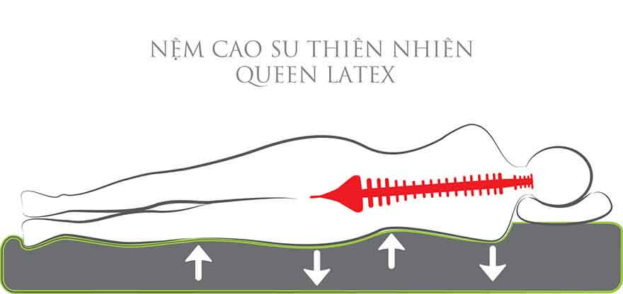 Nem-cao-su-thien-nhien-Unique