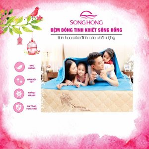 Nem-bong-tinh-khiet-3-manh-vo-gam (2)