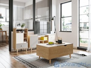 Ban-tra-sofa-bang-go-thiet-hien-dai-GHS-41017 (3)
