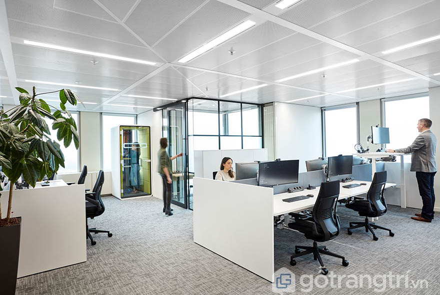 Thảm trải sàn văn phòng HCM