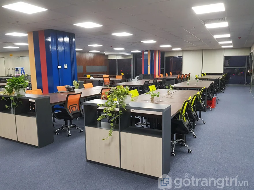 Thi công thảm văn phòng