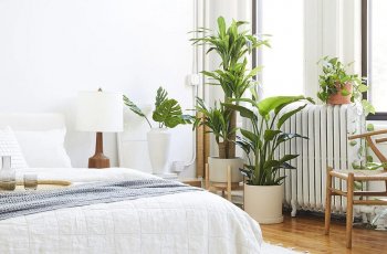 cây giả đẹp như thật