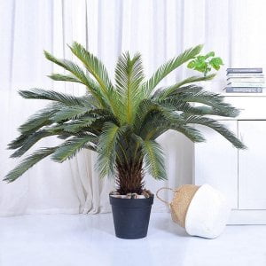 Cay-van-tue-gia-dung-trang-tri-gia-dinh-GHS-6735