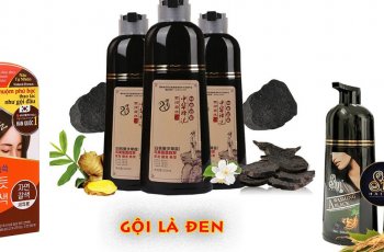 dầu gội phủ bạc tốt nhất