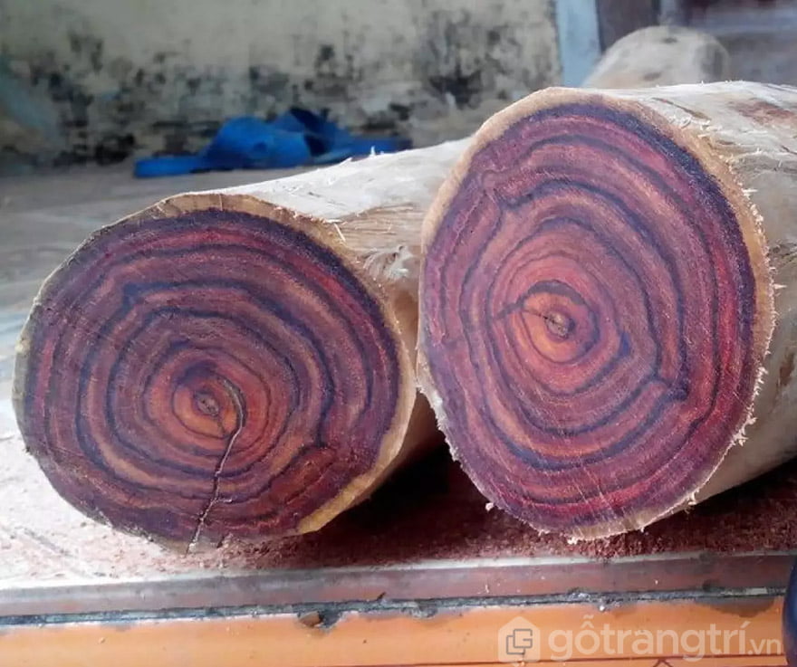 Các loại gỗ quý làm nội thất được ưa chuộng tại thị trường Việt ...
