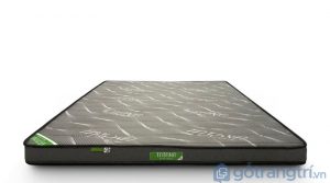 nem-cao-su-tong-hop-gam-lanh-thang-tatana-ghx-3138 (5)