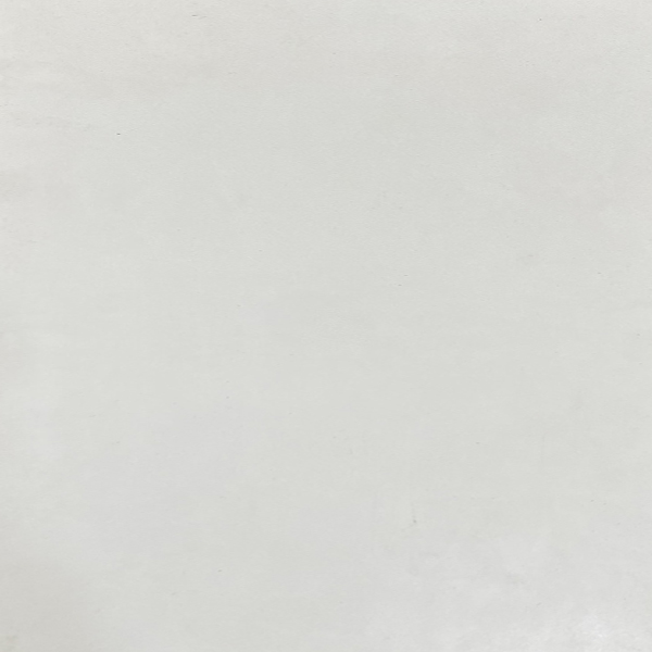 101T