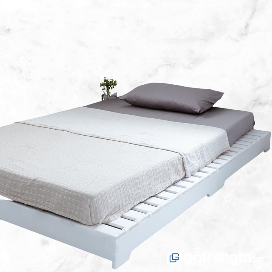 giường pallet nhựa