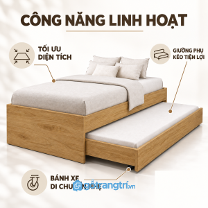 Thêm chỗ ngủ khi cần, thu gọn khi không sử dụng