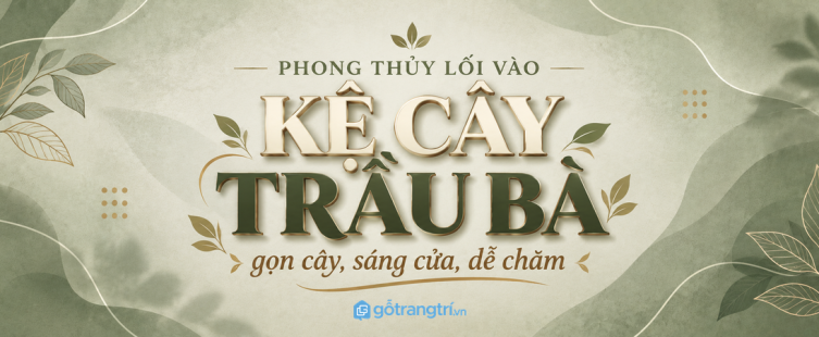 Kệ cây trầu bà phong thủy lối vào nhỏ: gọn cây, sáng cửa và dễ chăm lâu