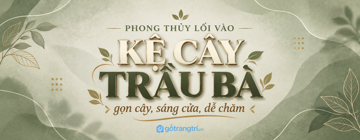 Kệ cây trầu bà phong thủy lối vào nhỏ: gọn cây, sáng cửa và dễ chăm lâu